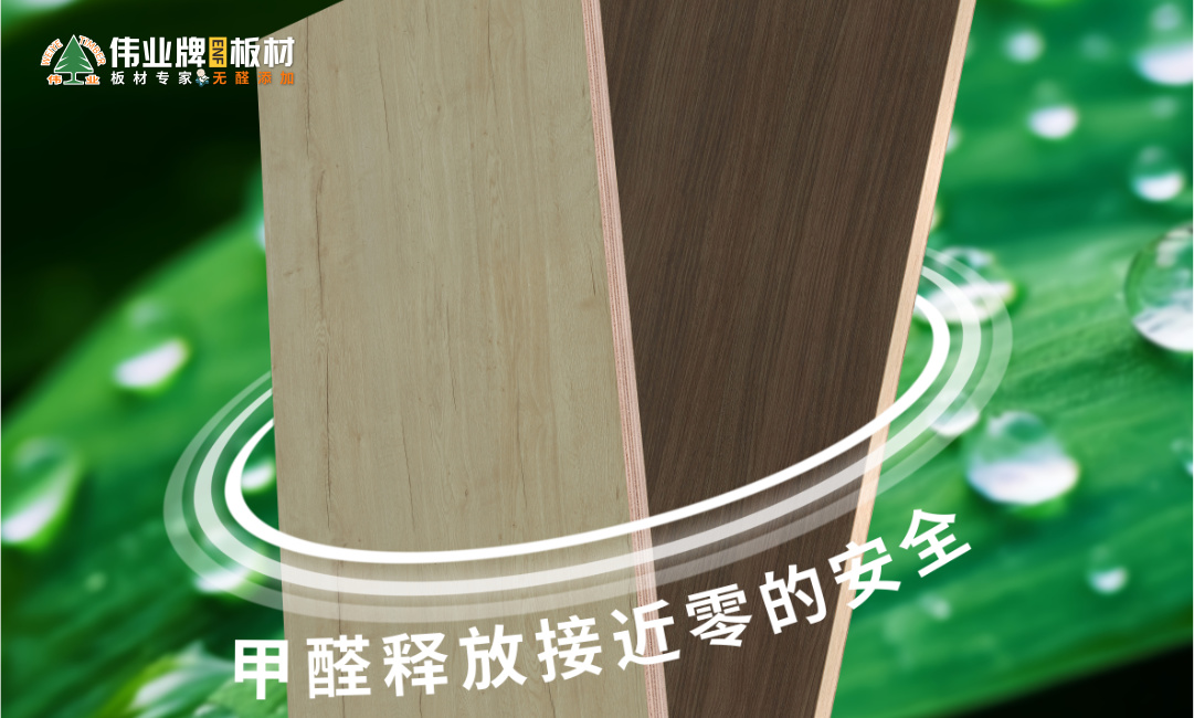 畫(huà)板8.jpg